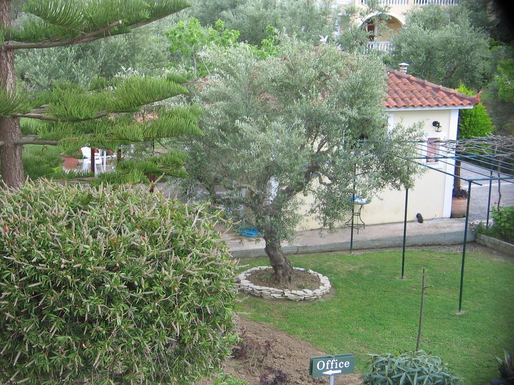 Dimaras Vasilikos (Zakynthos)
