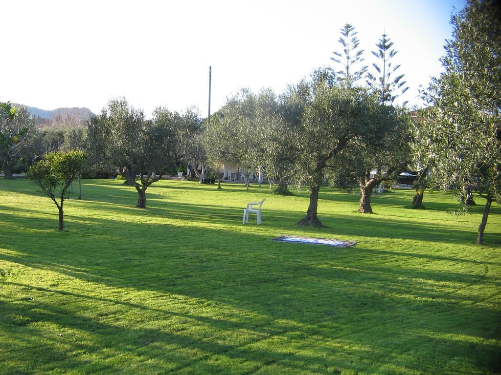 Apartment Dimaras