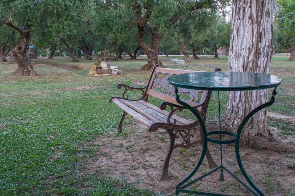 Apartment Dimaras Vasilikos (Zakynthos)