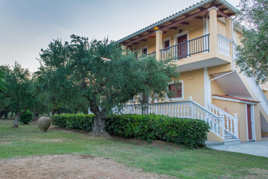 Dimaras Vasilikos (Zakynthos)