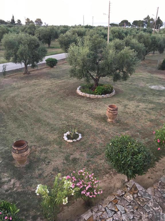 Apartment Dimaras *