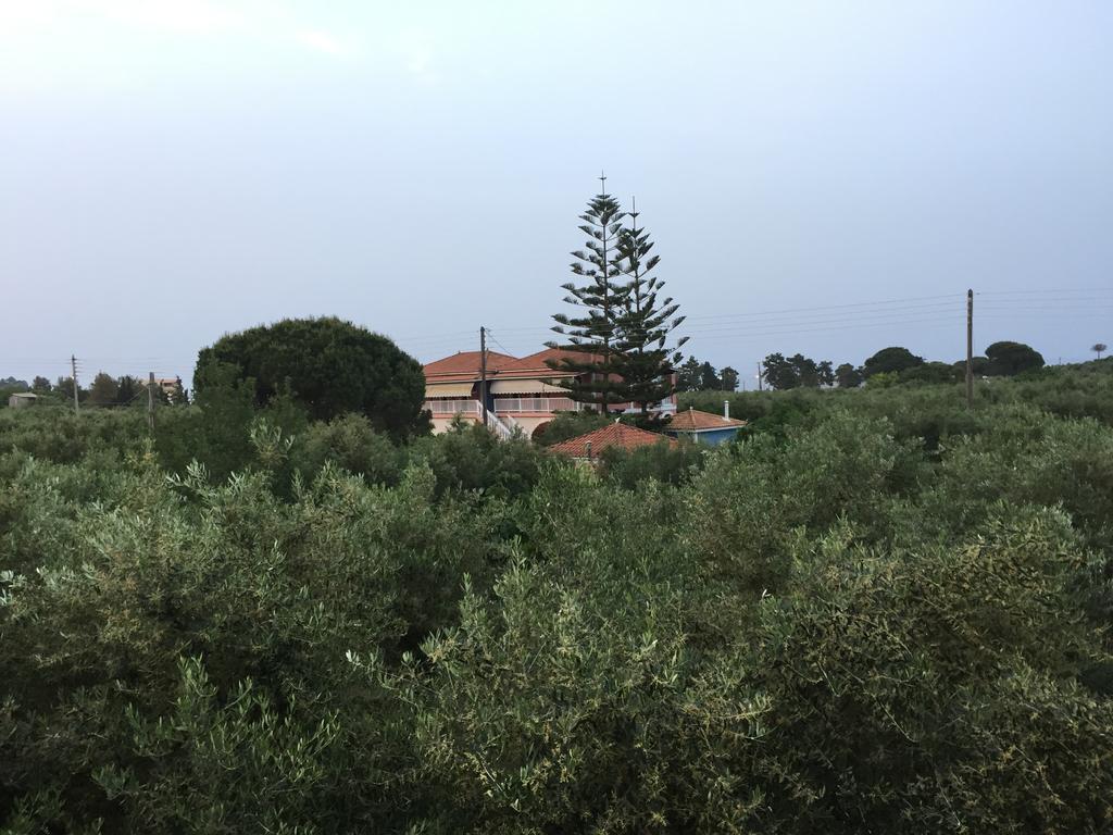 Apartment Dimaras *