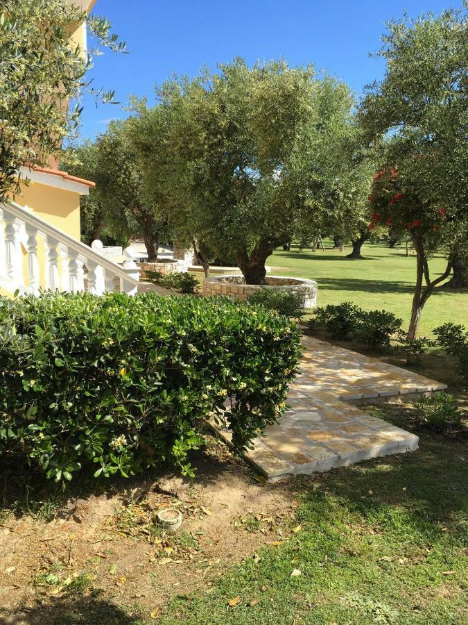 Dimaras Vasilikos (Zakynthos)