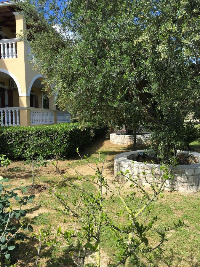Apartment Dimaras Vasilikos (Zakynthos)