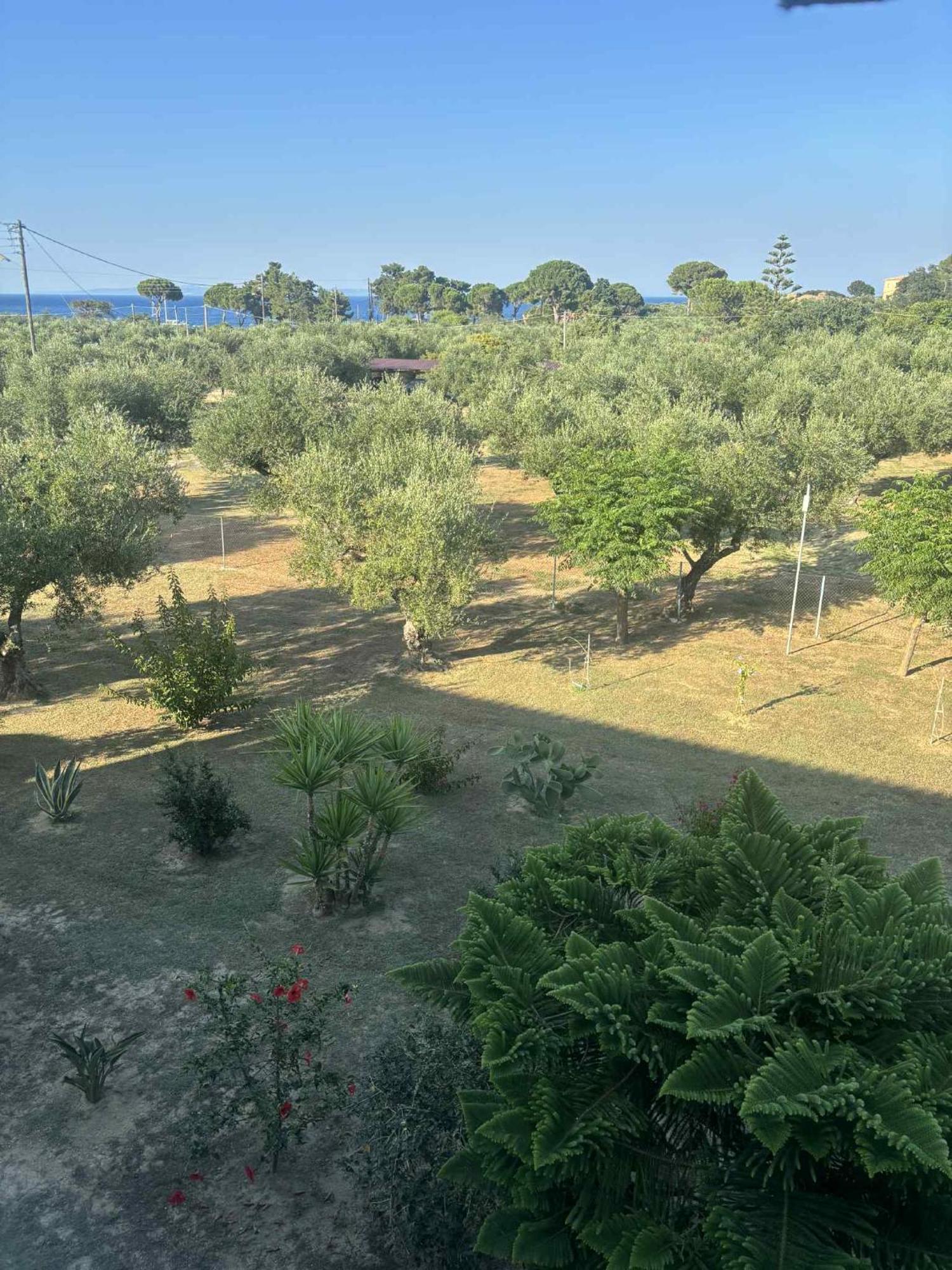 Appartamento Dimaras Vasilikí